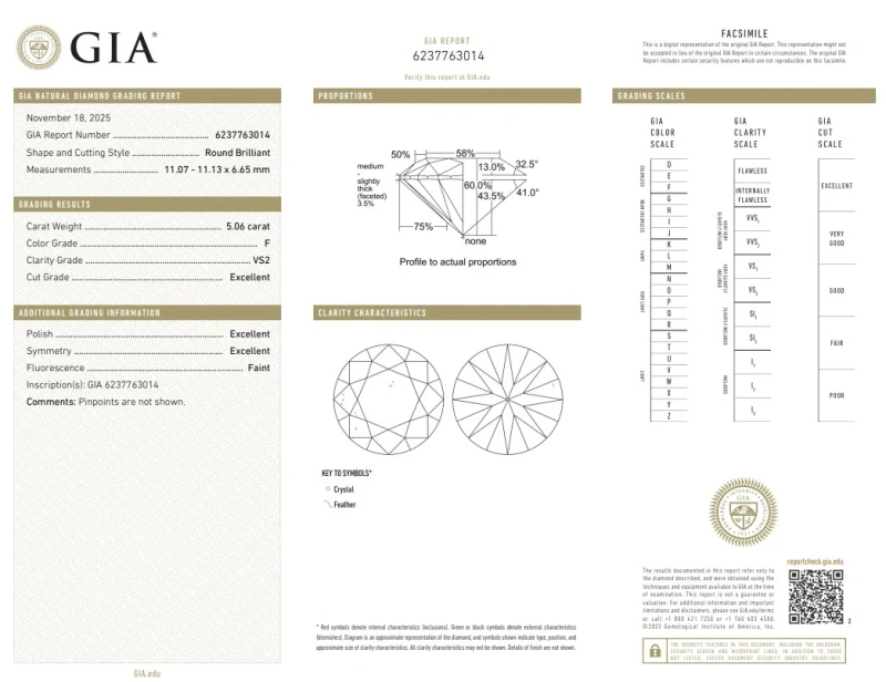 СЕРЬГИ NO NAME ROUND DIAMOND 5.06 - 5.00 CT F/VS1-VS2 EARRING (GIA) NN5.06-5.00 3