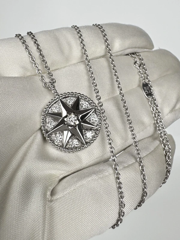 Dior ROSE DES VENTS MEDALLION 205840 5