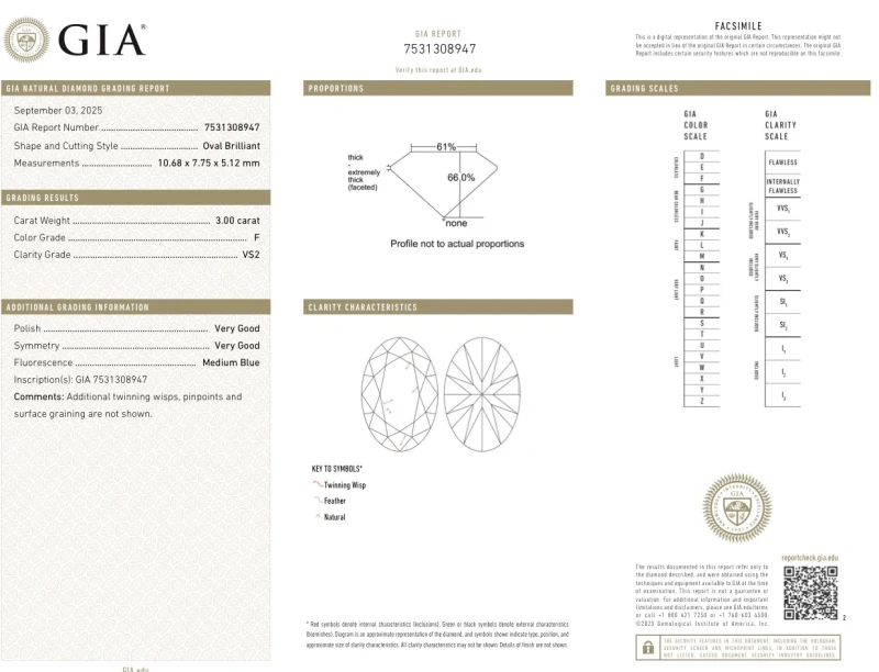 Earrings without a brand OVAL DIAMOND 3.00 CT F/VS2 RING (SIZE 51) GIA nn3.00ct f/vs2 2