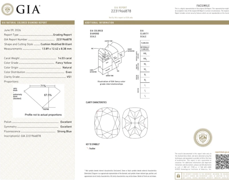 Earrings without a brand CUSHION DIAMOND 14.03 CT FANCY YELLOW/VS1 RING (GIA) NN 14.03ct FY/VS1 2