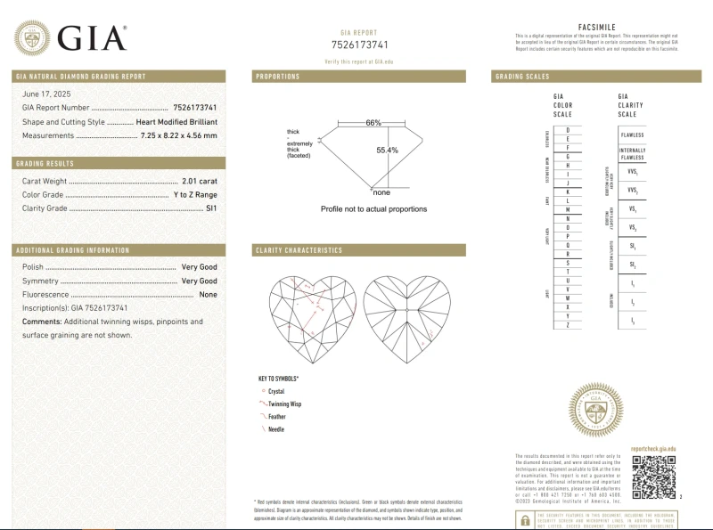 Earrings without a brand С БРИЛЛИАНТАМИ 2.01 CT Y TO Z RANGE/SI1 - 2.01 CT Y TO Z RANGE/SI1 2.01 CT Y TO Z RANGE/SI1 - 2.01 CT Y TO Z RANGE/SI1 3