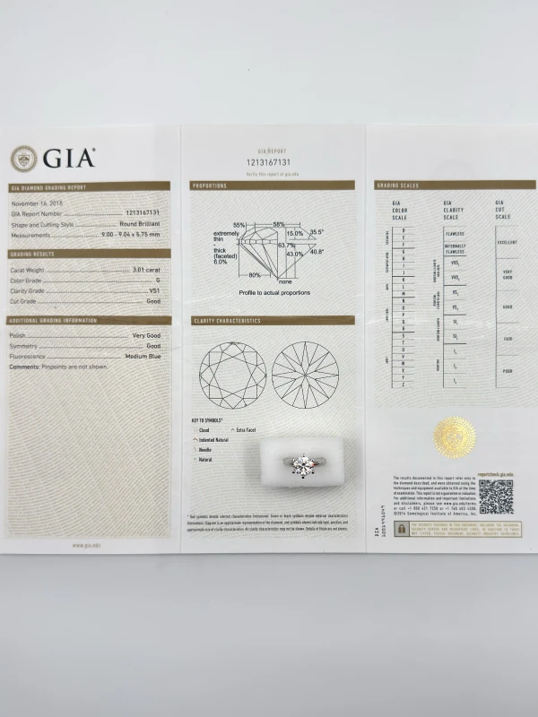 Earrings without a brand ROUND DIAMOND 3.01 CT G/VS1 RING (GIA) 131-NN3.01 5