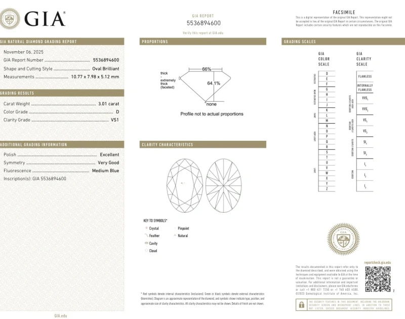 Earrings without a brand OVAL DIAMOND 3.01 CT D/VS1 RING (SIZE 51) GIA nn3.01 D/VS1 2