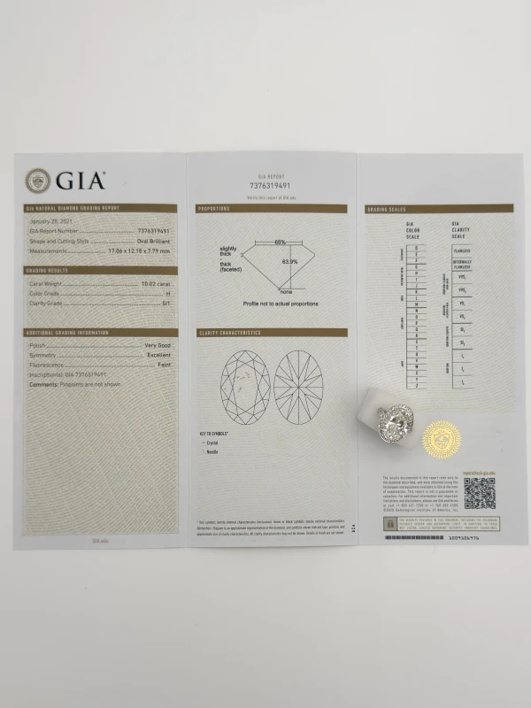 Earrings without a brand OVAL DIAMOND 10.02 CT H/SI1 RING (GIA) 737491 10.02 CT 5