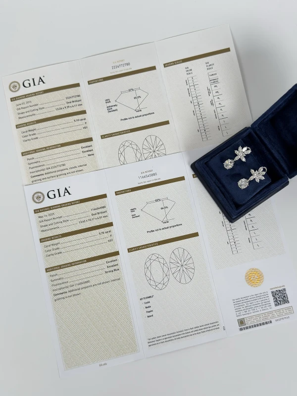 СЕРЬГИ NO NAME OVAL DIAMOND 5.10 - 5.70 CT F/VS1 EARRINGS (GIA) NN5.10-5.70 CT F/VS1 7