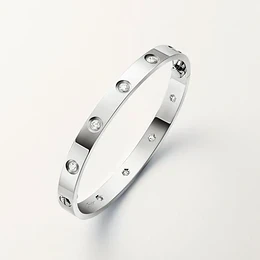 Cartier LOVE BRACELET, 10 DIAMONDS, WHITE GOLD (SIZE 17) B6070416 2