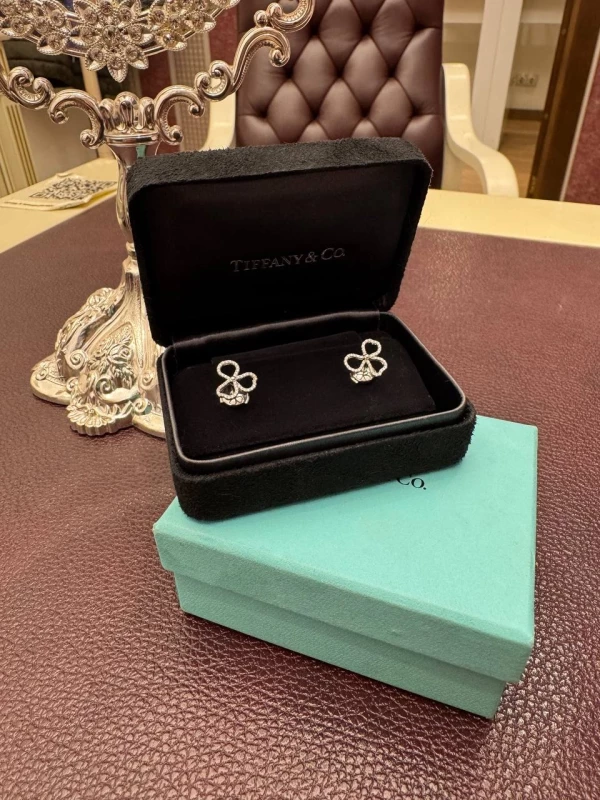 Tiffany & Co PAPER OPEN FLOWER DIAMOND EARRINGS IN PLATINUM 61626573 6