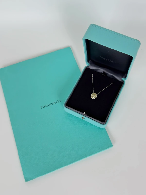 Tiffany & Co ENCHANT OVAL DIAMOND 1.72 CT FANCY YELLOW/VVS2 PENDANT 44623701 4