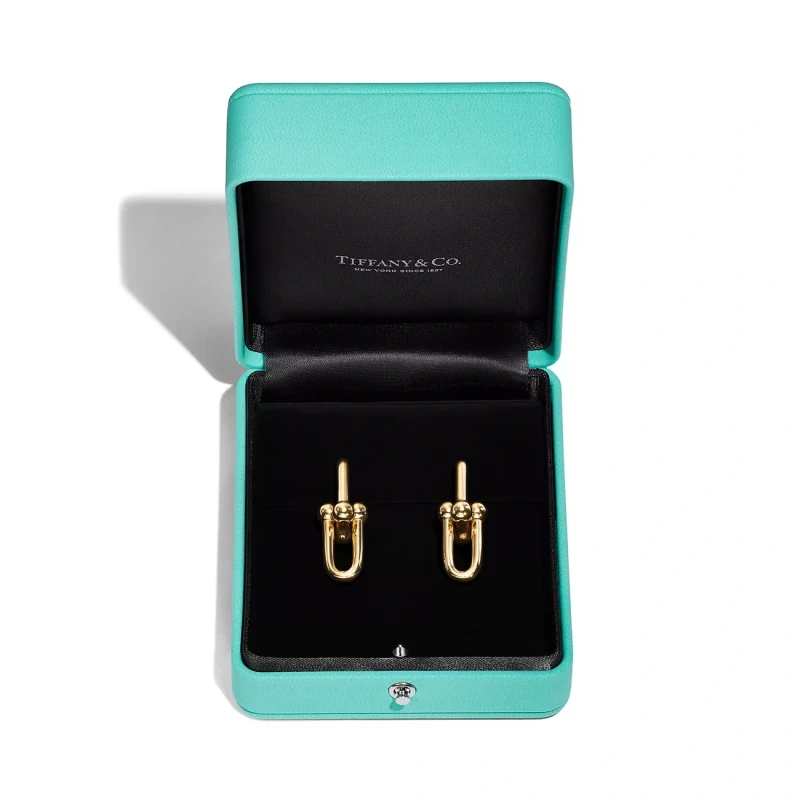 Tiffany & Co Tiffany HardWear Large Link Earrings in Yellow Gold 68533651 4