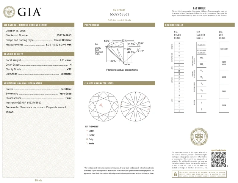 Earrings without a brand ROUND DIAMOND 1.01-1.01 CT H/VS2 EARRINGS (GIA) 5263-NN1.01-1.01 CT H/VS2 3