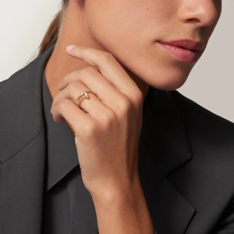 Cartier JUSTE UN CLOU RING, SMALL MODEL, DIAMONDS (SIZE 52) B4244852 6