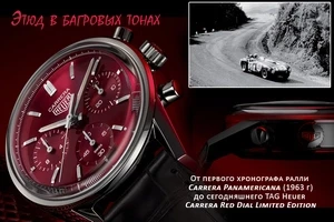 Новая жизнь Carrera 2447